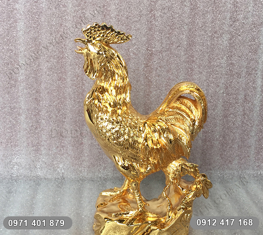 Gà trống mạ vàng góc nhìn ngang Gà trống mạ vàng